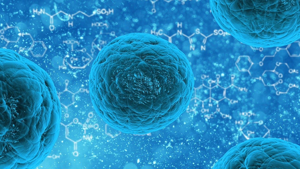 what is nutrition science